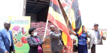 FINDING A LASTING SOLUTION TO HUNGER IN KARAMOJA THROUGH IMPROVED SEED VARIETIES