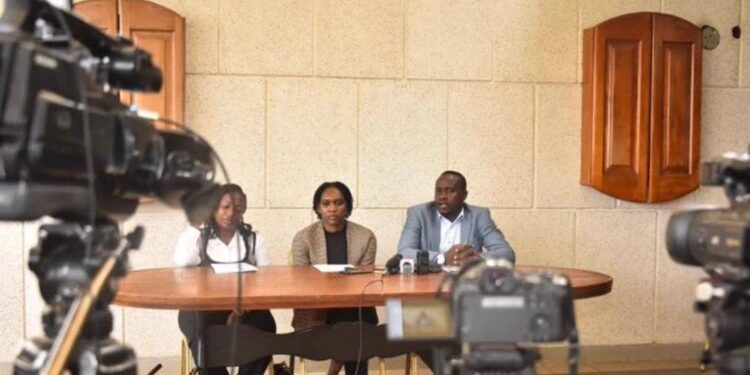 National Youth Parliament set to hold its 6th annual plenary