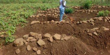 Madhavan Group Faces Fresh Allegations Harassment, Property Destruction Over Contested Nakigalala Land