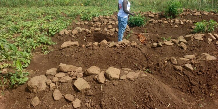 Madhavan Group Faces Fresh Allegations Harassment, Property Destruction Over Contested Nakigalala Land