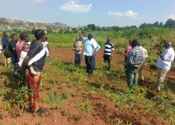 High Court Dismisses Madhvani’s Case Challenging 168-Acre Land Consent Judgment