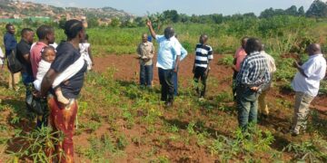 High Court Dismisses Madhvani’s Case Challenging 168-Acre Land Consent Judgment