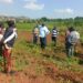 High Court Dismisses Madhvani’s Case Challenging 168-Acre Land Consent Judgment